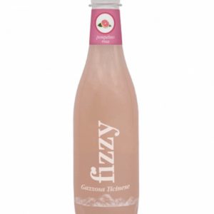 Fizzy Grapefruit PET 6x46cl