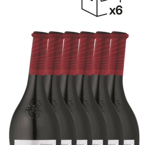 JP Chenet Cabernet-Syrah 6x75cl